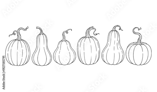 Hand drawn pumpkin line art vector collection autumn harvest outline illustration isolated on white