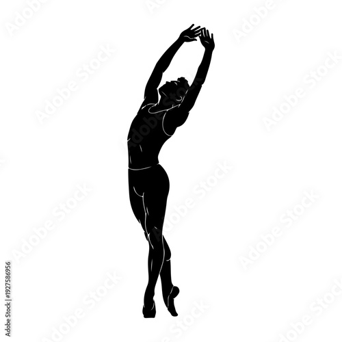 Silhouette of a Dancer in an Elegant Pose.
