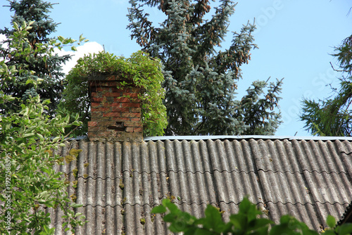 Old brick chimney on a grey corrugated roof, overgrown with greenery