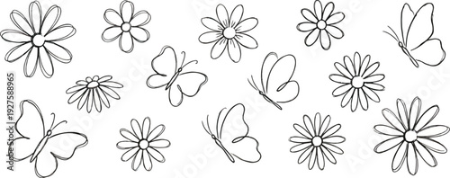 Crayon drawn flower and butterfly doodle collection. Hand drawn vector floral outline elements with pencil or chalk texture. Cute nature summer or spring black clipart. Simple daisy and butterfly.