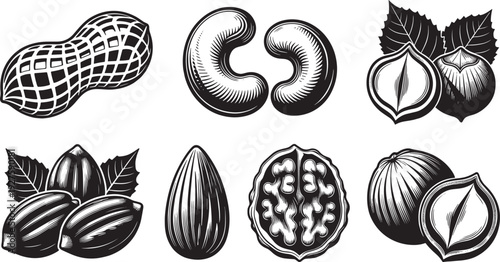 Assorted nuts set illustration, vintage engraved peanut almond walnut hazelnut botanical vector collection isolated