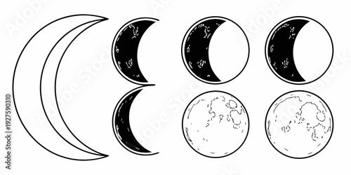 Illustration of the eight phases of the moon in a linear sequence Vector
