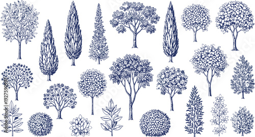 Elegant blue botanical illustrations featuring trees, flowers, and shrubs in line art style