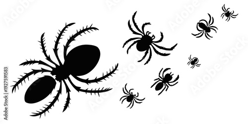 A group of spiders and spiderlings in various sizes and positions. Vector
