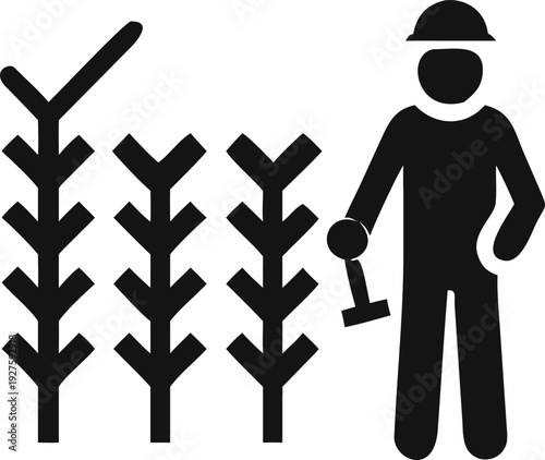 Dedicated farmer cultivating a lush field of corn stalks with a specialized hand tool