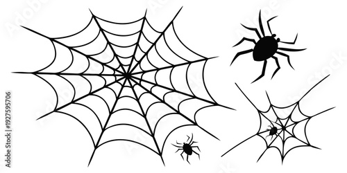 A detailed illustration of a spider and its intricate web design. Vector