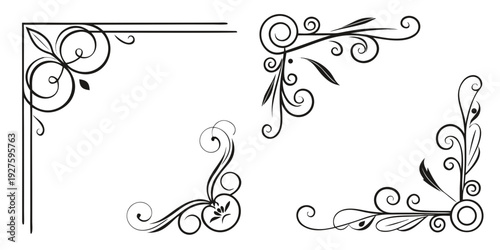 Intricate and elegant floral designs with swirls and curls Vector