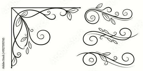 Elegant black and white decorative swirls with intricate details and symmetrical design Vector