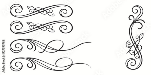 Intricate swirls and flourishes in a vintage decorative design style Vector