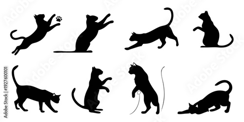 Black silhouettes of cats in various playful and dynamic poses Vector