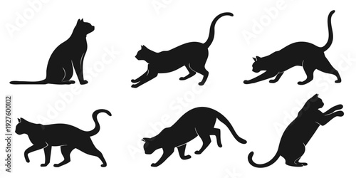 Eight black cat silhouettes showcasing various poses and movements. Vector