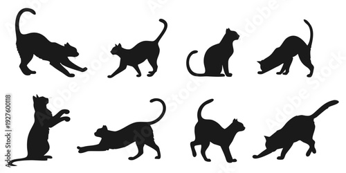 A collection of black cat silhouettes in various dynamic poses and positions Vector
