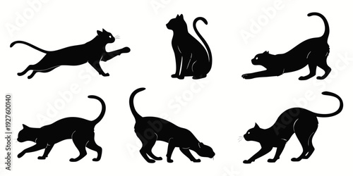 A variety of black cat silhouettes in different poses on a white background Vector