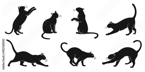 A variety of cats in different poses and positions Vector