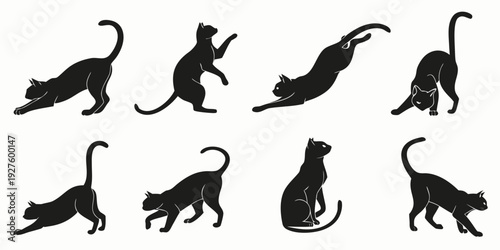 Eight black silhouettes of cats in various playful and relaxed poses Vector