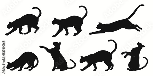A collection of black silhouette cats in various dynamic poses and positions Vector