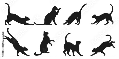 Black silhouettes of cats in various playful and dynamic poses Vector