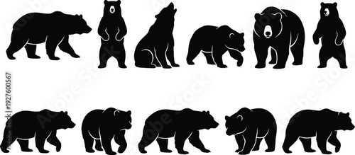 Black bear silhouette set with multiple poses including standing, walking and roaring isolated on white background, wildlife animal illustration for logo, clipart and design