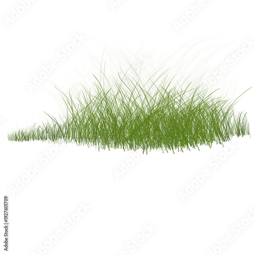 A patch of green grass isolated on a white background transparent