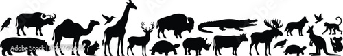 Wild animals silhouette collection including giraffe, camel, crocodile, deer, buffalo, kangaroo and birds isolated on white background, wildlife illustration set for design