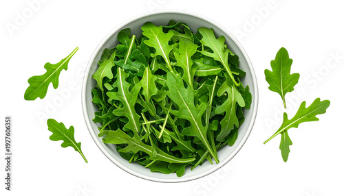 Fresh, vibrant arugula leaves fill a white bowl with scattered pieces on a black background