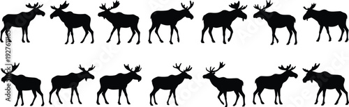 Group of twelve black moose silhouettes showcasing different stances and antler shapes on a clean white background for nature and wildlife designs.