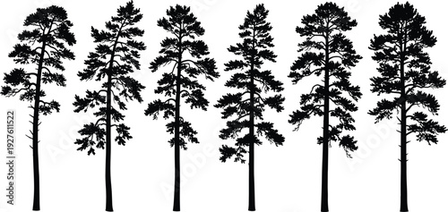 Marine life silhouettes set with humpback whale dolphins sea turtle stingrays and hammerhead shark in cad drawing flat vector illustration for ocean