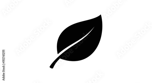 Black Leaf Silhouette with White Vein.