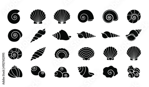Collection of black and white seashell silhouettes in various shapes and sizes seashells shells