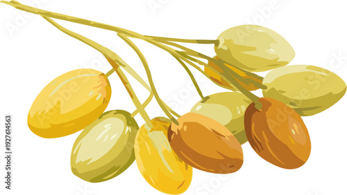 cartoon sago fruit, simple flat vector illustration on white background.