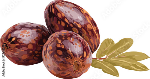 sago fruit with clipping path
