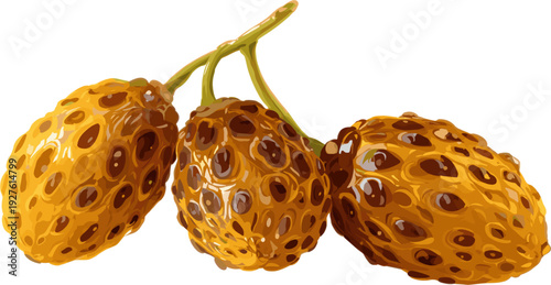 dried sago fruit isolated on a white background