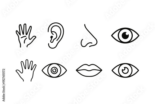 Collection of simple line icon illustrations depicting human sensory organs and body parts for design