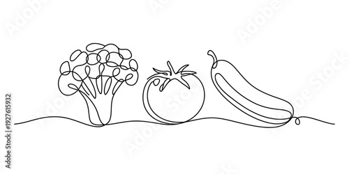Minimalist continuous line drawing of fresh vegetables including broccoli tomato and zucchini. Vector, illustration