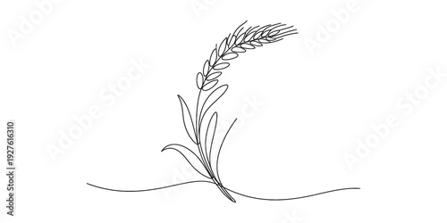 Simple black and white line drawing of a wheat stalk with leaves on a plain white background. Vector, illustration