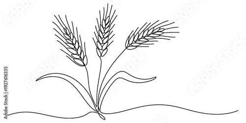 Simple black and white line drawing of three wheat stalks growing from the ground with leaves. Vector, illustration