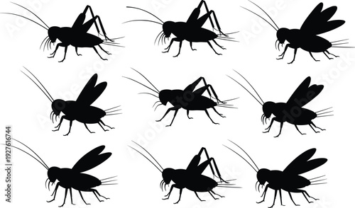 Cricket insect silhouette collection set, black bug icons with wings and antenna, detailed orthoptera vector illustration isolated on white background