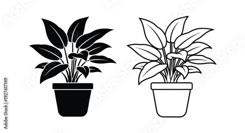 Black and white illustration of two potted plants with distinct leaf shapes