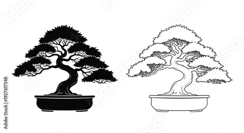 Two bonsai trees depicted in contrasting black and white styles