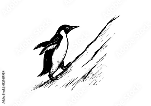 Canvas Print Penguin hand drawn simple ske