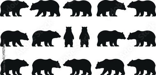 Black bear silhouette collection with grizzly and polar bears in walking and standing poses, wild forest animal flat vector illustration.