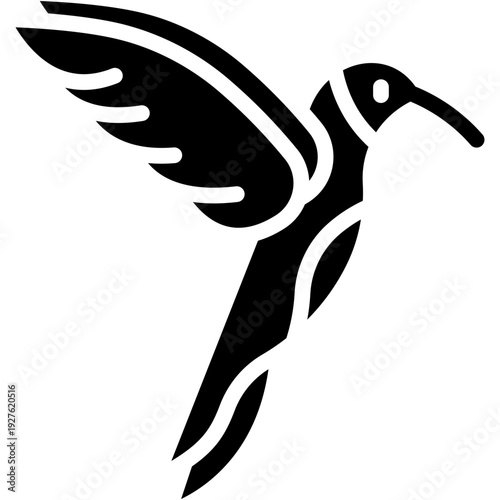 Colibri Bird in Wildlife, Animal Kingdom Vector Icon
