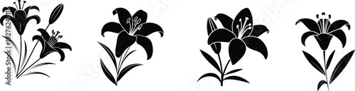 Lily flower silhouettes set with elegant botanical elements, decorative floral collection isolated on white background for nature design, vector illustration and creative use