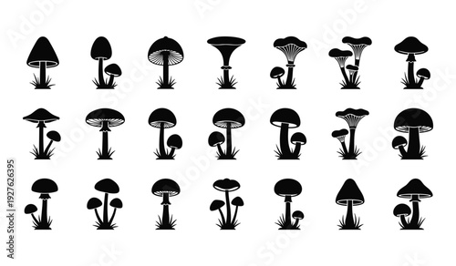 Collection of black silhouette mushrooms with different shapes and sizes fungi nature