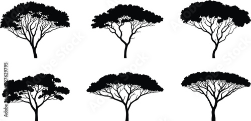 Acacia tree silhouettes set, African savanna nature landscape black vector illustration isolated on white background collection
