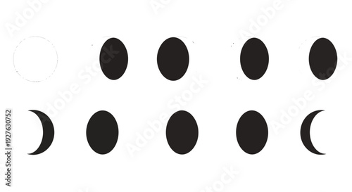 Moon phases vector illustration, flat design, astronomy concept, celestial bodies, night sky, science