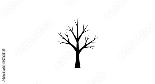 Bare Tree Silhouette Isolated on White Background.