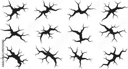 Neuron Cells Silhouettes on White Background Illustration Set