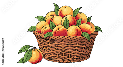 Vector illustration of wicker peach basket with leaves, summer harvest scene viewed from side