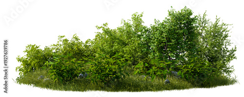 Photos Isolated Green Bushes and Shrubbery With Grass Patch and Rocks